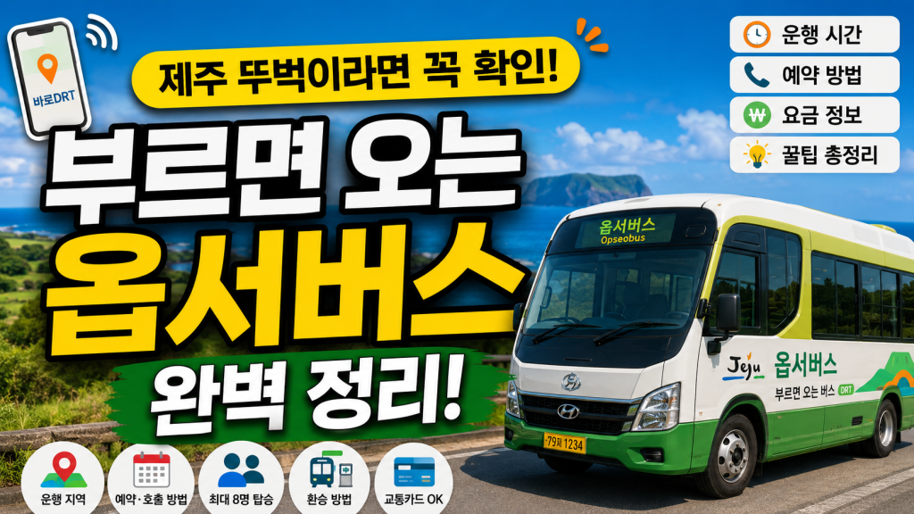 제주 옵서버스 이용 방법 핵심 정리