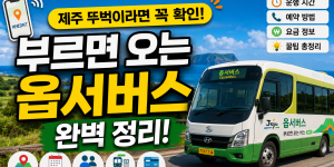 제주 옵서버스 이용 방법 정리